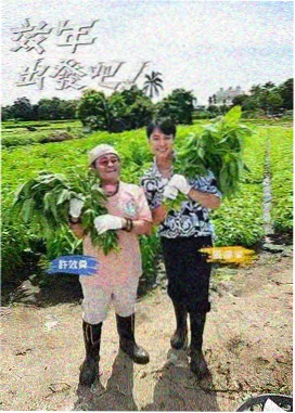 滨江片区观影路线示意图